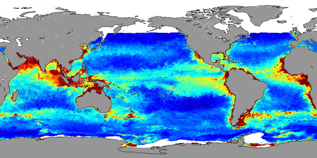 Ocean Productivity: Custom Products